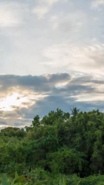 Dikey video. Renkli Akşam Gökyüzü Altında Yoğun Yeşil Orman. Geniş Açı Görüşte Altın Bulutlar ve Puslu Işık, Zaman Süratli Günbatımı Konsepti