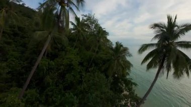 İHA, Yeşil Uçan Uçan Uçan Uçan Uçan Uçan Uçan Uçan Uçan Uçan Uçan Uçan Uçan Uçan Uçan Palmiyeler, Alttaki Sahile Yassı, Tropikal Kıyı Kavramı