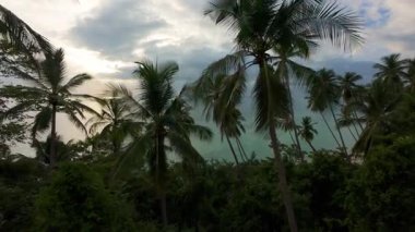 İnsansız hava aracı, Palmiye tepe örtüsü üzerinde Turkuaz Okyanusuna doğru süzülüyor. Bulutların Arasında Güneş Kırılıyor, Hava Çekimi, Deniz Macerası Konsepti