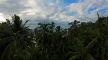 İnsansız hava aracı okyanusa doğru uçuyor. Güneş ışığı su yüzeyine yansıyor. Ön planda Yapraklar tarafından çerçeveleniyor.