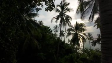 İnsansız hava aracı, Palm Trees ve Durgun Turkuaz Suyla Beyaz Kum Sahili 'nin üzerinde Sunset' te süzülüyor, Geniş Havadan Bakış, Ada Cenneti Konsepti