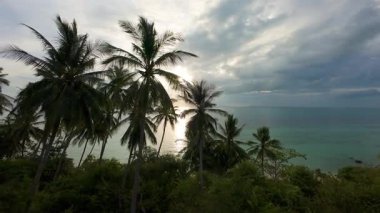 İnsansız Hava Aracı Palmiye tepe örtüsünün içinden, Güneş Işığı Altındaki Okyanusa Siluetli Ağaçlar ve Parlak Su Yansıması ile Uçuyor