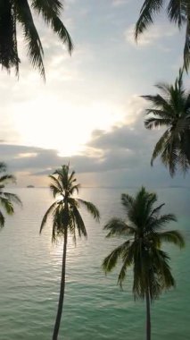 Dikey video. İnsansız hava aracı Palmiye ağaçlarından süzülerek Tropikal Okyanus 'un üzerinde günbatımına doğru yükseliyor.