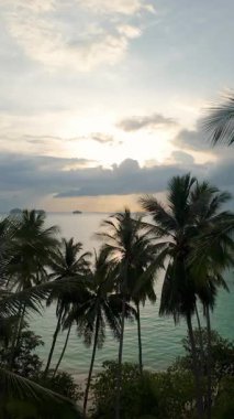 Dikey video. İHA Ağacın Üzerinde Uçuyor Palmiye Tepelerinden Günbatımına ve Okyanus Ufkusu 'na doğru Geniş Hava Çekiminde