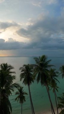 Dikey video. Geniş Hava Aracı, Günbatımı Gökyüzüne ve Huzurlu Deniz 'e Bakan Palmiye Ağaçları' ndan Geçerken Çekildi