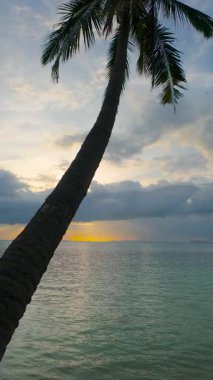 Dikey video. Avuç İçi Boyunca Dikey Yükselen İnsansız Hava Aracı Sakin Okyanus Üzerindeki Günbatımına Doğru Yükseliyor Arka Işıklı Silüet Efektiyle Düşük Açı Açısından Yakalandı