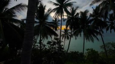 Hava Aracı Palm Trees 'ten Okyanus Ufkuna Uçuyor Gün batımında Turuncu Işık Bulutların Arasından Geçerek Havadan Görüntü Aldı