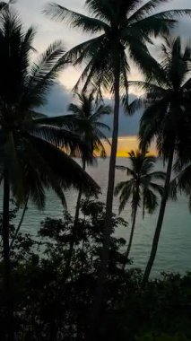 Dikey video. Hava Aracı Palm Trees 'ten Okyanus Ufkuna Uçuyor Gün batımında Turuncu Işık Bulutların Arasından Geçerek Havadan Görüntü Aldı