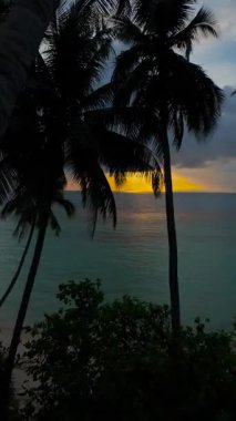 Dikey video. Palmiye ağaçlarının arasından uçan İHA Sakin Deniz 'in üzerinde Günbatımına bakan Turuncu Işık Geniş Açı Açı' dan yakalanan hafif dalgalara yansıyan