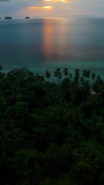 Dikey video. FPV İnsansız Hava Aracı, Palmiye ağaçlarının arasından hızla iniyor Turkuaz Suya ve Ufuk Açısında Altın Günbatımı Yansıması Geniş Açı Hava Çekimi, Aşırı Uçma Konsepti