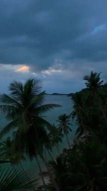 Dikey video. Pürüzsüz Uçan Uçan Palmiye Ağaçlarının Üzerinde Turkuaz Okyanusa Bakan ve Dramatik Bulutların Altında Parlayan Günbatımı Ufku Geniş Açı Hava Görünümü, Tropikal Cennet Konsepti