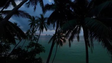 Uzun Palmiye Örtüsü Çerçeveleme Okyanusu 'nda süzülen İHA Geniş Açı Hava Perspektifi, Manzaralı Görüş Alanı