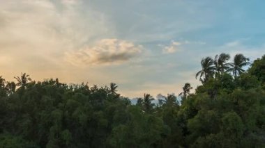 Gökyüzü Koyu ve Yıldızlar Geniş Açı Hava Perspektifi, Huzur Konseptiyle Geceyi Doldurdukça Günbatımı Renkleri Tropikal Palmiye Ormanı 'na Harmanlanıyor