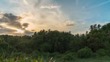 Yoğun Portakal Gökyüzü ve Yuvarlanan Bulutlar ile Yoğun Palmiye Ağaçlarının Üzerinde Günbatımının Zaman Hızı Geniş Açı Görüşte Yıldızlı Gece, Tropikal Akşam Konsepti