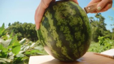 Mavi Gökyüzü ve Yeşil Ağaçlar ile Parlak Dış Sahne 'de Tahta Yüzeyde Taze Karpuz Kesen Ellerin Kapanışı, Taze Meyve Kavramı