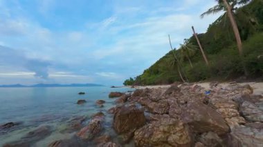 Sakin Mavi Denize Karşı Palmiye Ağaçlarıyla Rocky Shoreline Geniş Açı İHA 'dan Yakalandı, Tropik Ada Macerası Konsepti
