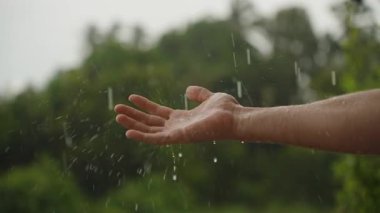 El Yakalama Tropikal Yağmur Damlaları Orman Arkaplanı, Yavaş çekim, Doğa ve Özgürlük Konsepti