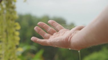 Tropikal Yağmur sırasında düşen su damlacıklarıyla Açık El 'in Yakın Çekimi, Saflığın ve Doğanın Yumuşak Arkaplanı