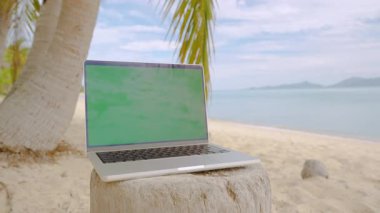 Boş Yeşil Ekranlı Laptop Palmiye Ağacının Altındaki Kütüğe Tropik Plaj Dijital Göçebe Konseptinde Okyanus Ufkunu Yerleştirilmiş