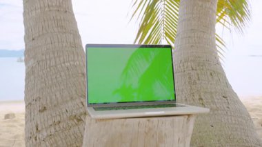 Üzerinde yeşil ekran olan dizüstü bilgisayar Sandy Plajı 'ndaki Palmiye Ağaçları Arasındaki Ahşap Kütük üzerinde duruyor Okyanus Ufku' nun yanında Mükemmel Moda Sahnesi