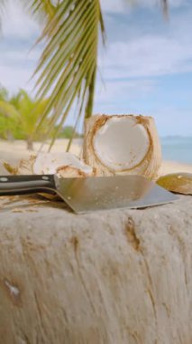 Dikey video. Ocean Horizon ve Sandy Beach Tropikal Aşçılık Sahnesi ile Açık Hindistan Cevizi ve Bıçak Ağaçlarının Altında