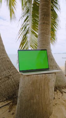 Dikey video. Yeşil Ekranlı Laptop Palmiye Ağaçları Arasında Tropikal Kumsal ve Sakin Okyanus Ufku Mükemmel Sahne