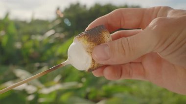 Elle Çekme Yapışkan Kızarmış Marshmallow Doğa Yapışkan Doğa, Yavaş Çekim, Açık Hava Şekerleme Konsepti