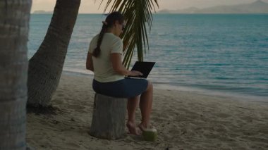 Braid 'li Kadın Sahilde Oturuyor Akşam Işığında Laptop kullanıyor Hindistan Cevizi Geniş Açı, İş Hayatı Dengesi Konsepti