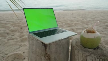 Yeşil Ekranlı Laptop Plaj Kum İçeceğinin yanındaki tahta kütüğe yerleştirildi Okyanusa bakan yakın çekim, uzak ofis kavramı