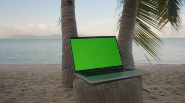 Sunset Wide Angle 'da Palmiye ağaçlarıyla çevrili Tahta Kalaya bakan Okyanusa bakan yeşil ekranlı dizüstü bilgisayar, Uzak Ofis Konsepti