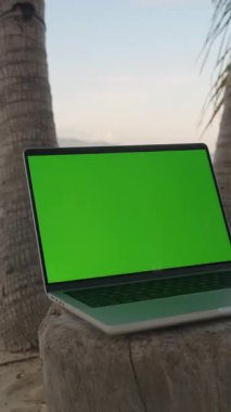 Dikey video. Sunset Wide Angle 'da Palmiye ağaçlarıyla çevrili Tahta Kalaya bakan Okyanusa bakan yeşil ekranlı dizüstü bilgisayar, Uzak Ofis Konsepti