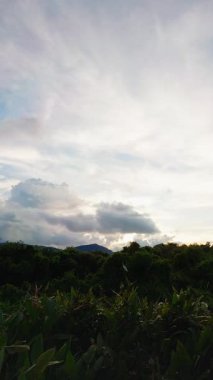 Vertical video. Timelapse of Sky Fading from Light to Night Entering Calm Darkness Concept