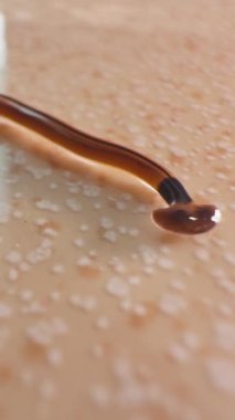 Vertical video. Hammerhead Flatworm Crawling on Glossy Floor in Warm Light, Macro Shot from Low Angle Highlighting Stripes and Head Shape, Exotic Invertebrate Concept