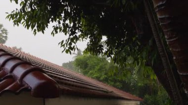 Wet Roof with Red Tiles Under Tree Branches During Rainfall Surrounded by Tropical Vegetation, Rainy Day Architecture Concept
