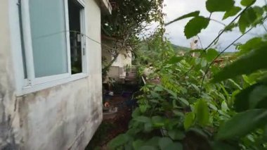 Geniş Açı Gök 'te Yeşil Yapraklar ve Dağlar Altında Çevrelenmiş Ev Yakınlarındaki Bahçe Duvarında Bekleyen Meraklı Siyam Kedisi Hayvan Merakı kavramı