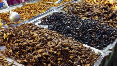 Tedarikçi Bir Gece Pazarı 'nda Plastik Torbaya Kaşıkla Kızarmış Böcekleri Kakalıyor. Üst Açı' dan Metal Tepsilerde Çeşitli Çıtır Böcekler, Egzotik Sokak Yemekleri Konsepti sergiliyor.