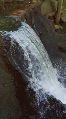Dikey video. Tropikal Orman 'daki Yosunlu Kayaların Üzerinden Şelalenin Kapanışı, Yavaş Hareket Akımı Konsepti