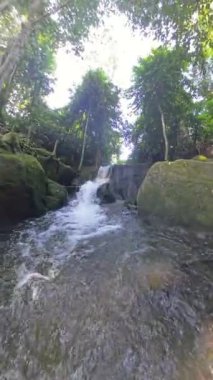 Dikey video. Yoğun Orman, Geniş Açı, Doğal Huzur Konsepti 'ndeki Küçük Şelale Yosun Kayaları' ndan Akıyor