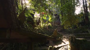 Tarnim Sihirli Bahçesinde Güneş Işığı ve Yeşil Ağaçlarla çevrili Yol ve Ahşap Yapı, Koh Samui Tayland, Huzur Konsepti