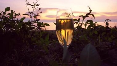 Sunset 'te Sahilde Yeşil Bitkilerin Arasında Duran Şampanya, Arkaplanda Okyanus Ufku, Yavaş Hareket Altın Akşam Sahnesi