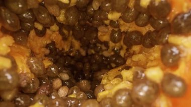Taze Papaya 'nın Kapanışı, Yeşil Yapraklar ve Sağlıklı Yeme Konsepti' nin arasında Kameranın İçinden Çıktığı Bir Dolly Kaydırma Görünümü İçin Tohumlar Dökülüyor