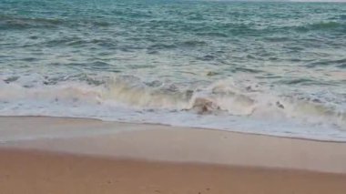 Coconut Güçlü Yuvarlanan Dalgalarda Yüzerken Köpük Kum Kıyısına doğru Geniş Açı Görüş, Tropikal Doğa Konsepti