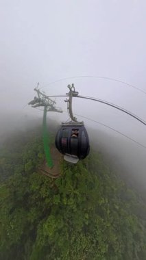 Virajlı Dağ Yolunda Eller Direksiyon Geniş Açı Sarı İşaretli İlk Kişi Seyahat Macerası Konsepti sırasında Görüldü