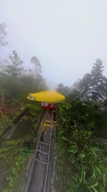 Dikey video. Sarı Füniküler Araba Ba Na Tepelerindeki Sis Ormanında Tırmanan Pist Geniş Açı Görüş Alanında Yakalandı