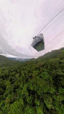 Dikey video. Lush Forest Hills 'in üzerinde süzülen kablo araba içinde görülebilen yolcularla birlikte yumuşak atmosferik sisle geniş açılı hava perspektifinde yakalandı.