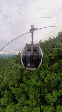 Dikey video. Geniş Orman Vadisi 'nin Hava Görüntüsü Yüksek Açı Manzarasında Yumuşak Bulutlu Gökyüzü Altındaki Ağaçları Kesen Rocky Akıntısı