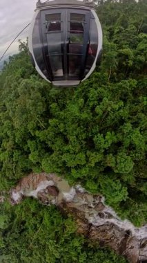 Dikey video. Yuvarlak Orman Küresi Üzerinde Kablolu Araba Küçük Gezegen Açısı 'nda Güçlü Eğrilik ve Açık Hava Keşfi ile Yakalandı