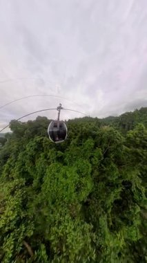 Dikey video. Yoğun Orman Tepesi 'ne yaklaşan Kablo Araba Güçlü Derinlik ve Dış Keşif Temalı Geniş Açı Hava Görünümü