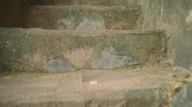 Dar Taş Geçidi, küçük bir tapınağa açılıyor. Yumuşak Geniş Açı Bakış Açısı 'nda Yosun ve oymalar var. Ayin malzemeleriyle loş bir iç mekan gösteriyor.