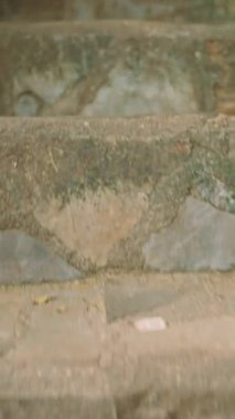 Dikey video. Dar Taş Geçidi, küçük bir tapınağa açılıyor. Yumuşak Geniş Açı Bakış Açısı 'nda Yosun ve oymalar var. Ayin malzemeleriyle loş bir iç mekan gösteriyor.